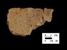 Coulbourn rim sherd - interior surface, from Wessel, site 18CA21/579.